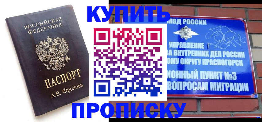 прописка поиск в Шилке